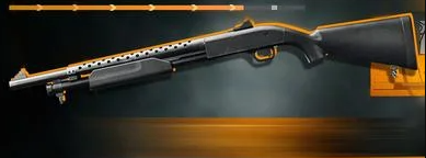 Shotguns Leveling